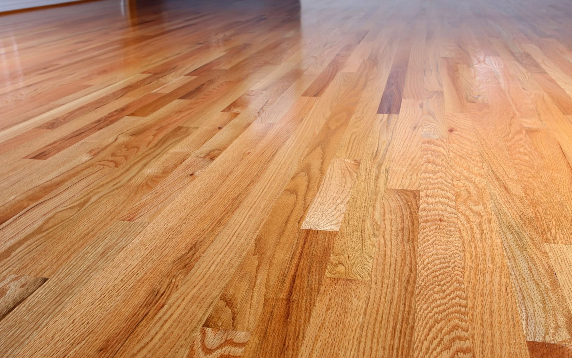 Interior of a home with refinished hardwood floors